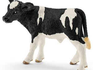 Kalb Schwarzbunt