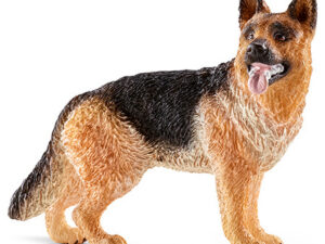 Schäferhund