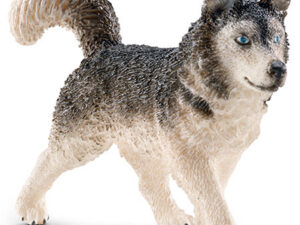 Husky